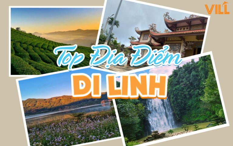 DI LINH | TOP ĐỊA ĐIỂM CHẮC CHẮN KHÔNG THỂ BỎ QUA