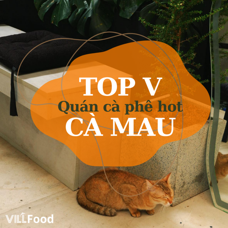 CÀ MAU | TOP V QUÁN NƯỚC HOT KHÔNG THỂ BỎ QUA